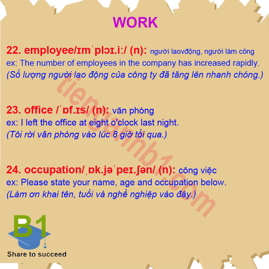Từ vựng tiếng Anh B1- chủ đề Work 2.3